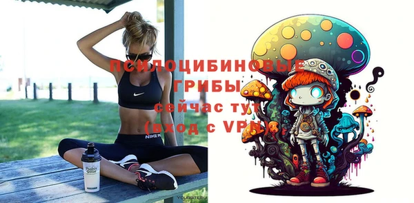 спиды Арсеньев
