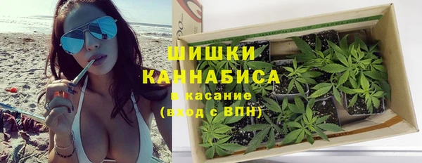 ПСИЛОЦИБИНОВЫЕ ГРИБЫ Иннополис