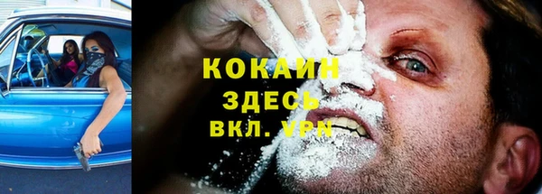 спиды Арсеньев